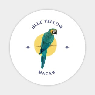 Blue Yellow Macaw Magnet